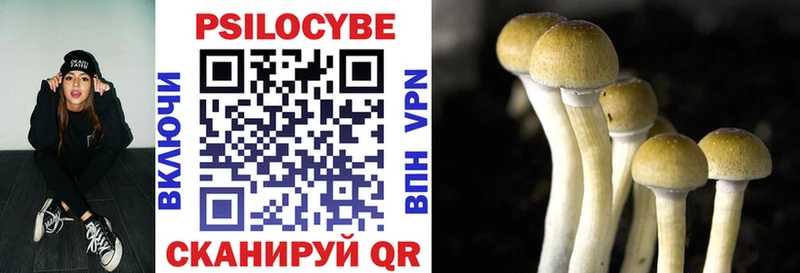 KRAKEN как зайти  даркнет наркотические препараты  Псилоцибиновые грибы Psilocybine cubensis  где можно купить наркотик  Невель 